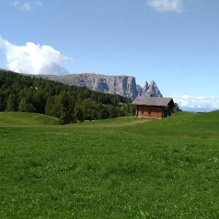 Casaviva - Grazioso Bilocale All'alpe Di Siusi Apartment
