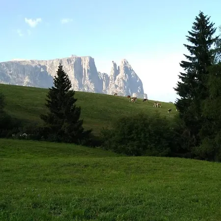 Casaviva - Grazioso Bilocale All'alpe Di Siusi Apartment *
