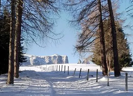 Casaviva - Grazioso Bilocale All'alpe Di Siusi Castelrotto