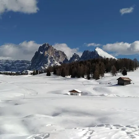 Apartment Casaviva - Grazioso Bilocale All'alpe Di Siusi